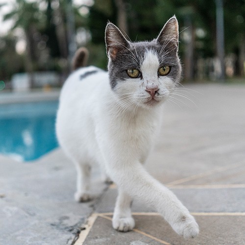 Urgent Care Urgent Care